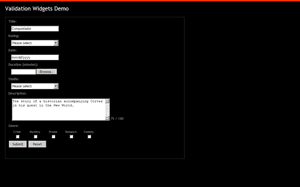 Validation Widgets Demo